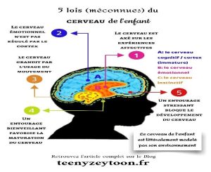 5 lois du cerveau de l'enfant
