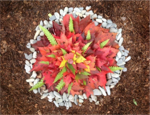 24259311_10159687498440092_1993556795_o